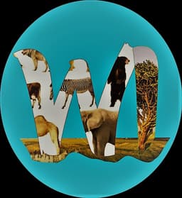 Waters India Logo